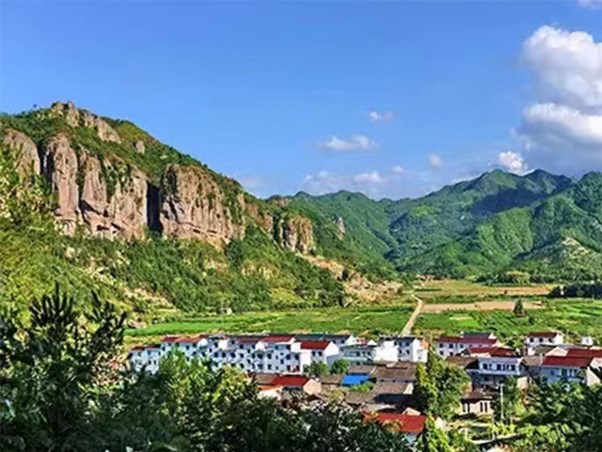 后岸村